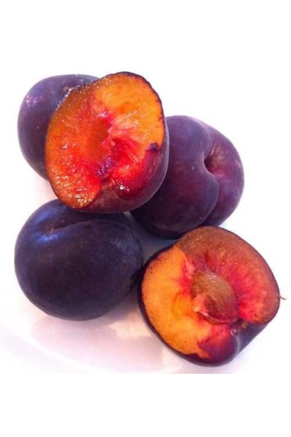 Абрикос ‘Монарезі’ (чорний абрикос)